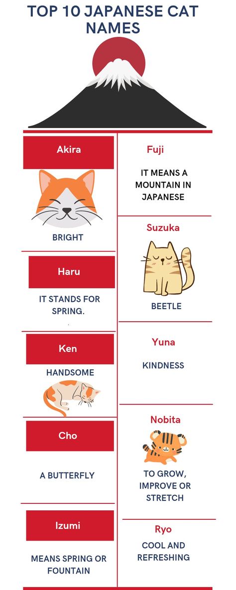 Japanese Names For Pets, Japanese Cat Names With Meaning, Korean Cat Names, Japanese Cat Names, Cat Names For Boys, Names For Pets, Names For Male Cats, Ginger Cat Names, Boy Cat Names