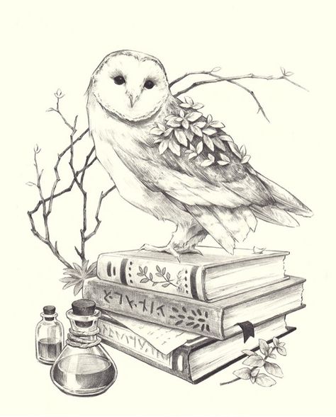 Harry Potter Sketch, Owl Sketch, Harry Potter Art Drawings, Harry Potter Owl, Owl Books, Owl Tattoo Design, Spirit Animal Art, Witch's Brew, Owls Drawing