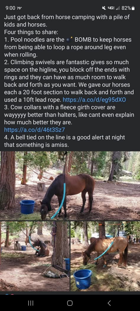 Horse Barn Hacks, Diy Horse Tack, Horse Hacks, Horse Camping, Farm Hacks, Horse Farm Ideas, Barn Hacks, Horse Barn Ideas Stables, Healthy Horses