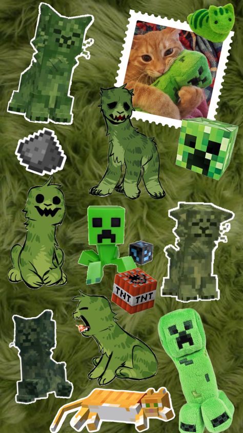 #minecraft #creeper #green #cat #fur #greenaesthetic Creeper Minecraft, Green Cat, Aw Yeah, Green Aesthetic, Creepers, Dream Cars, Minecraft, Pokemon, Collage