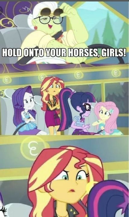 Mlp Memes Funny, Meme Book, Mlp Funny, Mlp Memes, Mlp Comics, My Little Pony Comic, Pony Pictures, My Lil Pony, Mlp Art