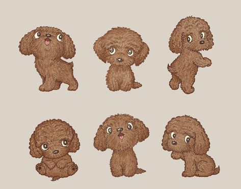 Poodle Puppy Drawing, Poodle Illustration Cute, Cute Poodle Drawing, Toy Poodle Drawing, Toy Poodle Tattoo, Toy Poodle Illustration, Haircut Illustration, Poodle Illustration, Poodle Doodle