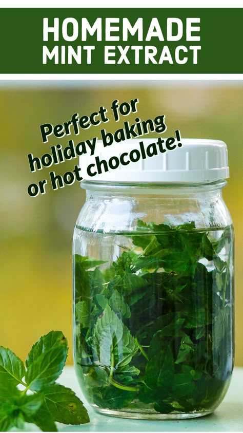 How To Make Peppermint Extract, Mint Extract Recipe, Homemade Mint Extract, Extract Making, Homemade Syrups, Herbs Recipes, Homegrown Herbs, Diy Extracts, Vanilla Extract Recipe