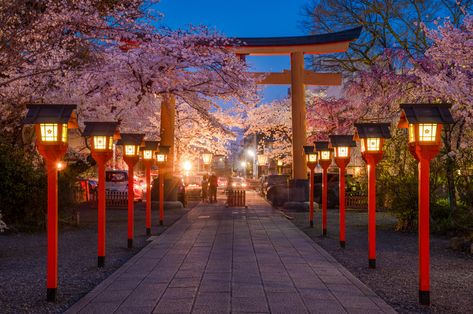 2-Day Kyoto, Japan Cherry Blossom Itinerary - #travel #sakura #cherryblossom #kyoto #japan Japan Aesthetic Landscape, Sakura Festival Japan, Japan Landscape Photography, Cherry Blossom City, Kyoto Landscape, Kyoto Japan Aesthetic, Kyoto Japan Cherry Blossom, Kyoto Aesthetic, Sakura Party