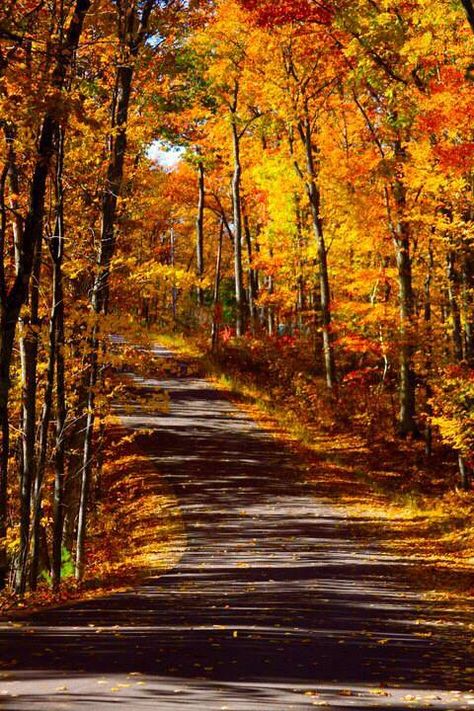 Start planning your trip today to experience great hiking, biking and more during the most beautiful time of year! #fallcolors #fallhiking #rhinelander #rhinelander #wisconsin Rhinelander Wisconsin, Africa City, Miss South Africa, Africa Pendant, Africa Destinations, Fall Hiking, Rhinos, Pendant Necklace Gold, John Wayne