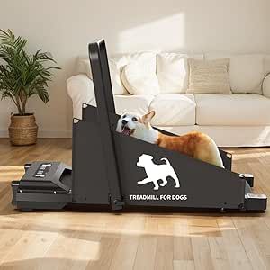 Dog Running Machine,Treadmill for Dogs Small Medium Dogs,Exercise Equipment for Dogs Indoors,Pet Doggie Treadmill,Up to 220lbs, Low Noise Dog Treadmills, Dog Treadmill, Orange Dog, Running Machine, Dog Running, Running Machines, Treadmill Workouts, Dog Exercise, Exercise Equipment