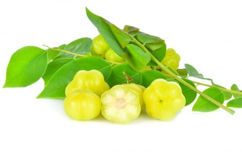 Star gooseberry on a bright background | Premium Photo #Freepik #photo #star #green #nature #fruit Star Gooseberry, Momordica Charantia, Star Apple, Drying Cilantro, Moringa Powder, Calcium Rich Foods, Photo Star, Rangoli Kolam Designs, Kaffir Lime