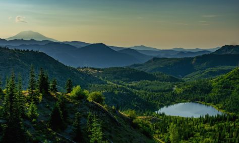 Sunrise upon Mt. Adams and the Gifford Pinchot National Forest Randle WA [OC] 6000x4000 @sirwilliamgorge  Click the link for this photo in Original Resolution.  If you have Twitter follow twitter.com/lifeporn5 for more cool photos.  Thank you author: https://bit.ly/3gtrxG7  Broadcasted to you on Pinterest by pinterest.com/sasha_limm  Have The Nice Life! Gifford Pinchot National Forest, Nice Life, Background Nature, Scenery Photos, Nature Wallpapers, Forest View, Nature Scenery, 25 September, Nature Background