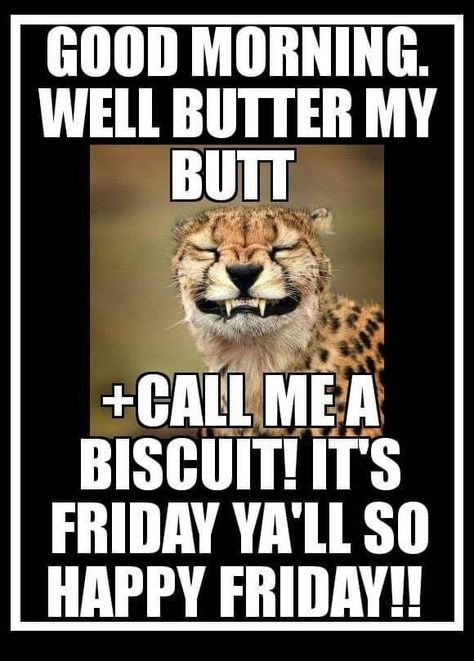 Happy Friday Humour, Friday Memes, Tgif Funny, Good Morning Animals, Funny Day Quotes, Happy Day Quotes, Morning Memes, Friday Quotes Funny, Good Morning Funny Pictures