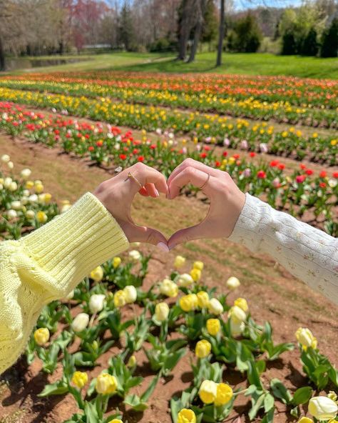 happy spring!🌷🌞🌸💕💐 #flowerfarm #tulipfarm #tulipseason #flowerfield Trending Summer Nails, Spring Scenery, Friendship Photography, Tulip Season, My Camera Roll, Wedding Mehndi, Master Decor, Cover Photo Quotes, Spring Beauty