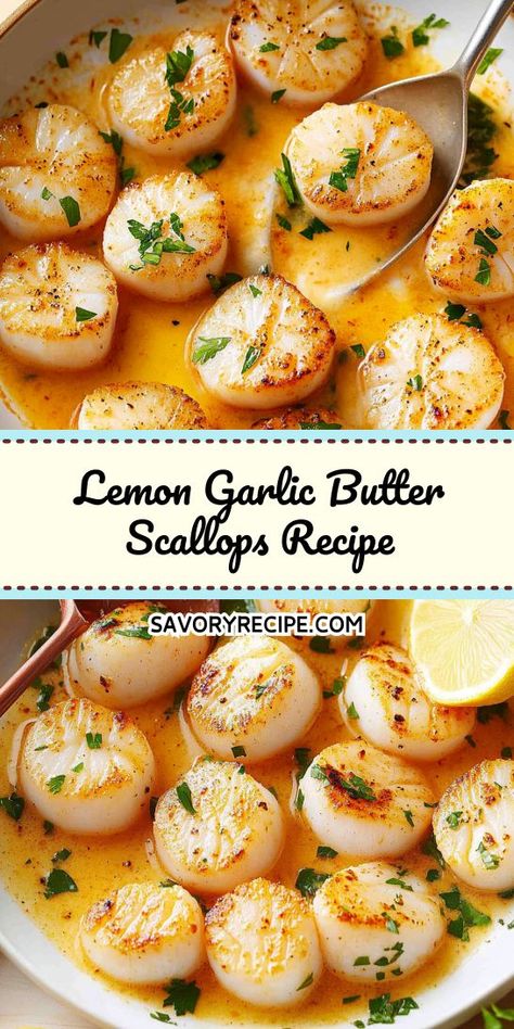 Want a quick yet gourmet dinner option? The Lemon Garlic Butter Scallops recipe provides a simple way to create an elegant seafood feast. Save this delicious recipe to make your next dinner special with the perfect balance of flavors and textures that everyone will love! Butter Scallops Recipe, Lemon Butter Scallops Recipe, Garlic Butter Scallops Recipe, Garlic Scallops Recipe, Lemon Butter Scallops, Garlic Butter Scallops, Easy Scallop Recipes, Butter Scallops, Fresh Scallops