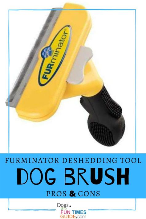 WHAT IS THE BEST DOG BRUSH? A pet brush that works great on ALL dogs (large, small, long hair, short hair) is the Furminator deShedding tool. I've used the Furminator for dogs since 2008. See all the pros & cons in my Furminator dog brush review. The article answers these questions: What is a Furminator brush for dogs? How often should I use a Furminator? Is Furminator safe for puppies? How long should I use the Furminator? Does the Furminator cut the dog's hair? #doggrooming #dogbrush #petbrush Dog Shedding Remedies, Dog Teeth Care, Itchy Dog Skin, Dog Grooming Tools, Dog Toothpaste, Dog Brush, Dog Grooming Supplies, Dog Odor, Dog Cleaning