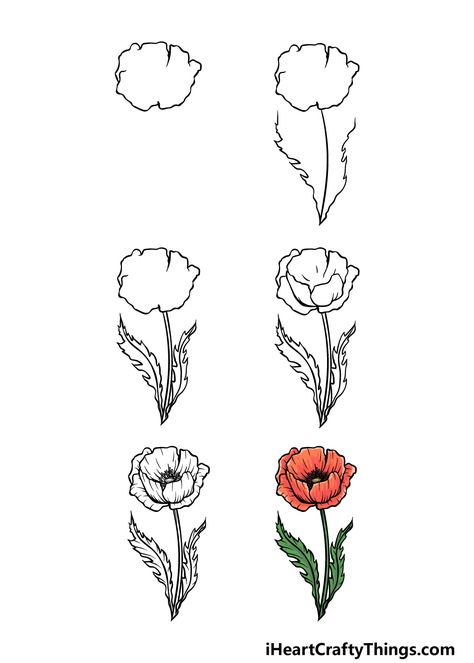 Poppy Flower Drawing, Poppy Drawing, Flower Drawing Tutorials, Bookmark Craft, Drawing Flowers, Cartoon Sketches, Book Drawing, Different Flowers, Step By Step Guide