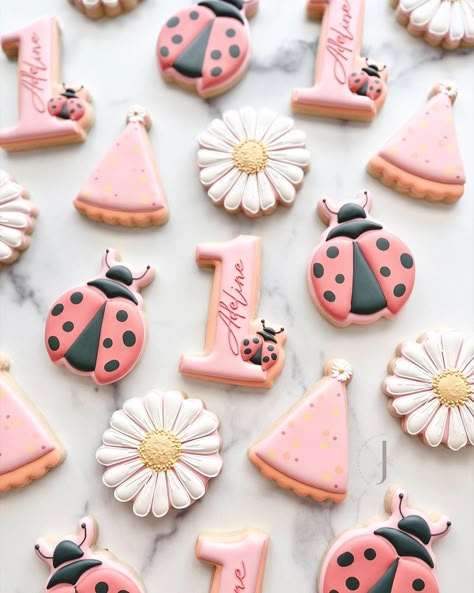 Julie Thomas (@juliesartisanbakery) • Instagram photos and videos Ladybug Birthday Theme, Ladybug Cookies, Birthday Ladybug, Ladybug Cupcakes, Julie Thomas, 2nd Birthday Photos, Bug Cake, Ladybug Birthday Party, Ladybug Theme