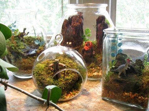 Star Wars Terrarium Worlds by Tony Larson Lego Terrarium, Star Wars Terrarium, Fairy Diy, Globe Design, May The Fourth Be With You, Star Wars Diy, Star Wars Birthday Party, Star Wars Wedding, Urban Street Art