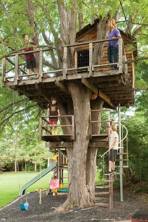 Tree House Ideas, Tree House Drawing, Simple Tree House, Beautiful Tree Houses, Building A Treehouse, Tree House Plans, Tree Fort, Tree House Diy, Tree House Kids