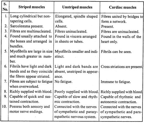 Locomotion And Movement Notes, Locomotion And Movement Neet Notes, Locomotion And Movement, Biology Class 11, Neet Notes, Learn Biology, Pelvic Girdle, Muscle Twitching, Synovial Fluid