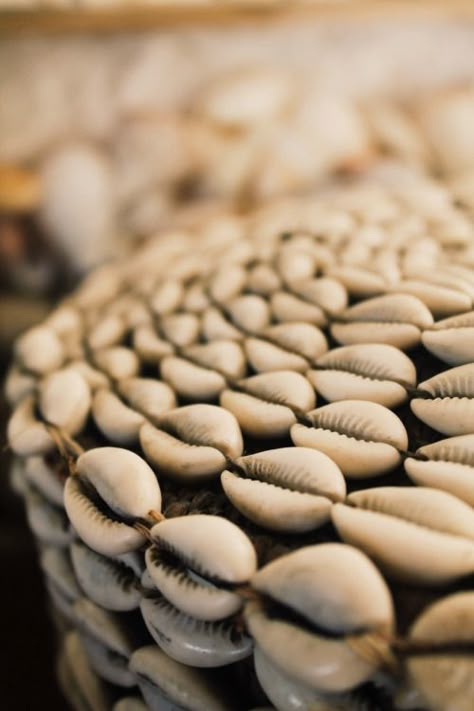 cowrie shells Whatsapp Profile Wallpaper, Cowry Shell, I Love Chocolate, Ivory Coast, Cowrie Shell, Aesthetic Images, Black Culture, Character Aesthetic, White Aesthetic