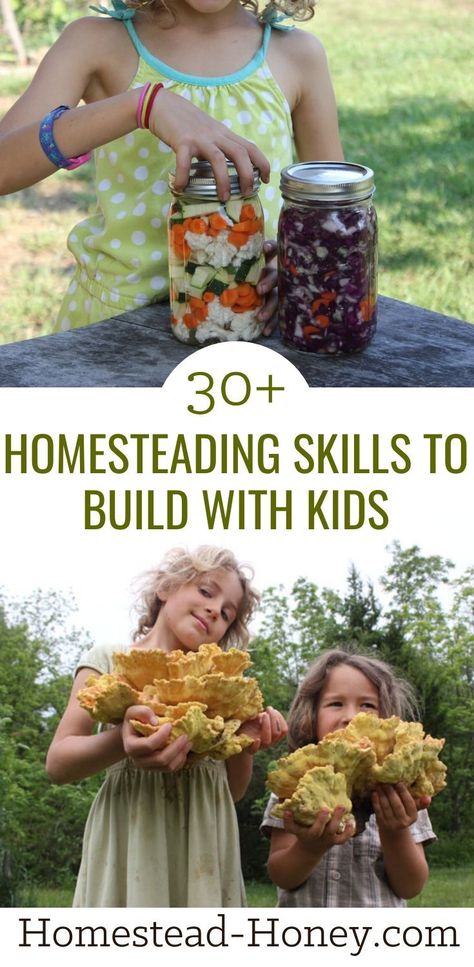 Build valuable homesteading skills while having fun with your kids! Learn together how to forage, garden, preserve food, make herbal remedies and more with this extensive list of projects, recipes, trainings, and how-tos! #homesteading #homesteadingwithkids #homeschool #homesteadingfamily Healthy Homestead Diet, Easy Homesteading Ideas, Homestead Building Projects, Homestead Decorating Ideas, Easy Homestead Projects, Homestead In Town, Homesteading Activities For Kids, Homesteading Must Haves, Homestead Meal Planning