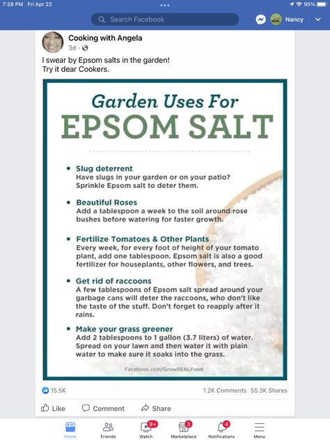 Epsom Salt For Roses, Getting Rid Of Raccoons, Epsom Salt Uses, Backyard Play, Container Gardening Vegetables, Rose Bush, Tomato Plants, Epsom Salt, Green Thumb