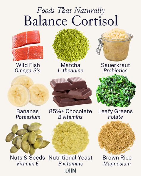 For a deep dive into the 7 Foods that Reduce Cortisol Levels: Destress Your Diet, tap the link⁠.   #nutrition #stress #stressmanagement #cleaneating #wholefoods ⁠ Balance Cortisol, Reduce Cortisol Levels, Medicinal Foods, Hormone Nutrition, Reduce Cortisol, Workout Nutrition, Nutrition Guidelines, Healthy Hormones, Integrative Nutrition