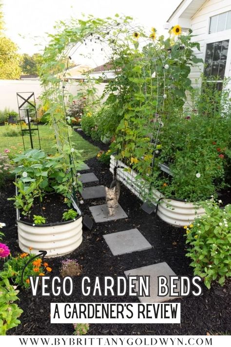 Raised Garden Beds Along Fence Backyards, Planter Box Gardens, Oval Raised Garden Bed, Vego Garden Layout Ideas, Backyard Landscaping With Garden Beds, Garden Without Raised Beds, Garden Bed Shade Ideas, Raised Garden Bed Walkway, Metal Garden Bed Layout