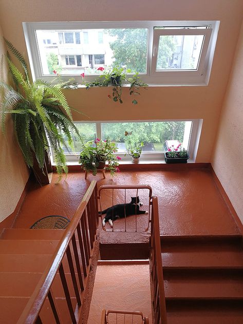 Soviet Apartment Renovation, Soviet Apartment Building, Soviet Apartment Interior, Soviet Interior Design, Russian Apartment Building, Russian Apartment Aesthetic, Apartment Building Staircase, Ukrainian Apartment, Slavic House