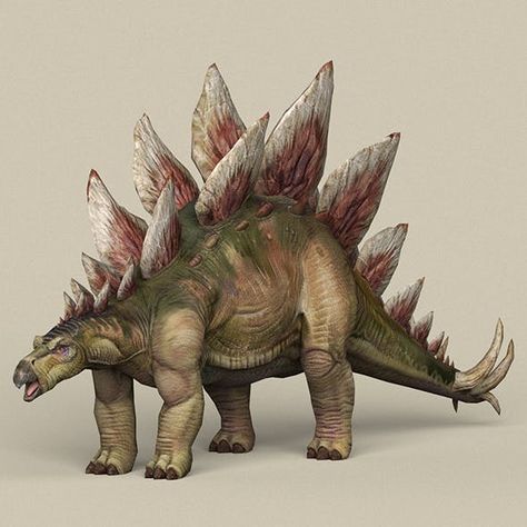 Game Ready Dinosaur Stegosaurus - 3DOcean Item for Sale Dinosaur Stegosaurus, Dinosaur Alphabet, Dinosaur Images, Dinosaur Pictures, Dinosaur Illustration, Prehistoric World, Jurassic World Dinosaurs, Dinosaur Skeleton, Normal Map