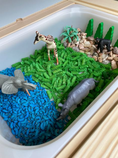 Animal Eyfs Activities, Safari Sensory Bin, Animal Sensory Table, Jungle Sensory Bin, Zoo Animals Sensory Bin, Animals Eyfs, Zoo Sensory Bin Preschool, Animal Habitat Sensory Bin, Zoo Sensory Activities