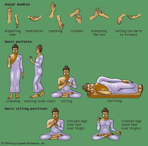 Buddha's postures and their meanings Mudras Meanings, Yoga Hands, Buddhist Wisdom, Zen Buddhism, Types Of Yoga, Chakra Meditation, Buddha Art, Buddhist Art, Spiritual Journey