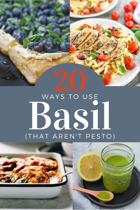 20 fresh ways to use basil in the kitchen that aren't pesto. Find recipes for basil drinks, salads, condiments, main dishes, and even basil desserts! Fresh Basil Recipes Healthy, Recipes For Basil, Basil Recipes Healthy, Ways To Use Basil, Basil Drinks, Fresh Basil Recipes, Green Goddess Salad Dressing, Tomato Leaves, Fresh Appetizers