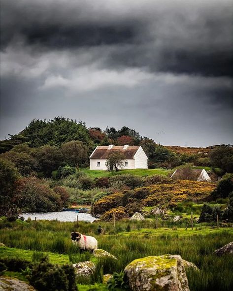 1916 Rising, Ireland Houses, Connemara Ireland, Best Of Ireland, Gloomy Weather, County Galway, Love Ireland, Irish Cottage, Galway Ireland