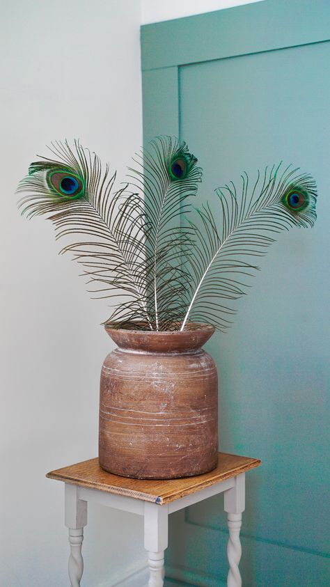 jennywotherspoon.com Peacock Feathers In Vase Decor, Massin Vase, Peacock Vase, 90s Bedroom, Terracotta And Green, Accessories Idea, Abigail Ahern, Peacock Feathers, Peacocks