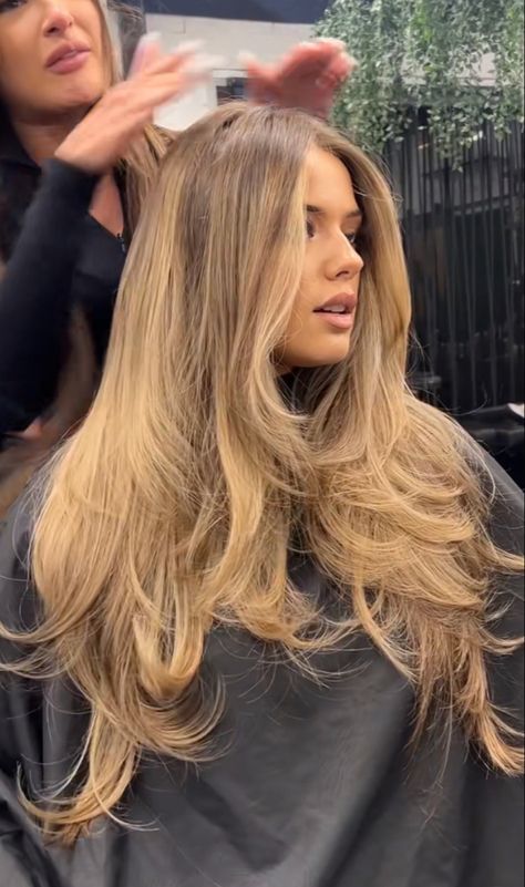 Light Golden Highlights, Sun Kissed Bronde Balayage, Honey Blonde Hair Shadow Root, Brown To Golden Blonde Balayage, Light Brown Hair With Honey Highlights Golden Blonde, Golden Honey Blonde Balayage Brunettes, Honey Golden Brown Hair, Golden Dark Blonde Hair, Dark Golden Hair