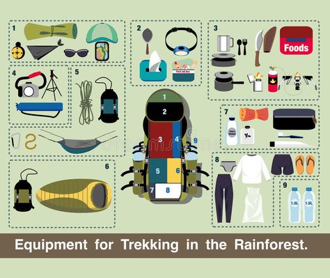 Illustration journey vector, Equipment for Trekking in the Rainforest. stock illustration Trekking Equipment, The Rainforest, Trekking, Stock Illustration, Stock Vector, Vector Illustration, Boots