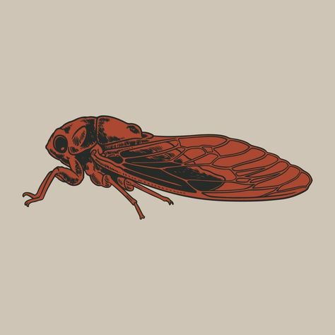 Cicada Sketch, Cicada Drawing, Cicada Art, Cicada Tattoo, Animal Sketch, Insect Taxidermy, Drawing Things, Animal Sketches, Vector Hand