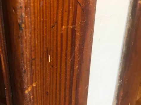 How To Restain Wood Trim, Stained Molding Wood Trim, Restraining Wood Trim, Refinishing Wood Trim, Old House Trim, Restaining Wood Trim, Refinish Wood Trim, Dark Stained Wood Trim, Old Wood Trim