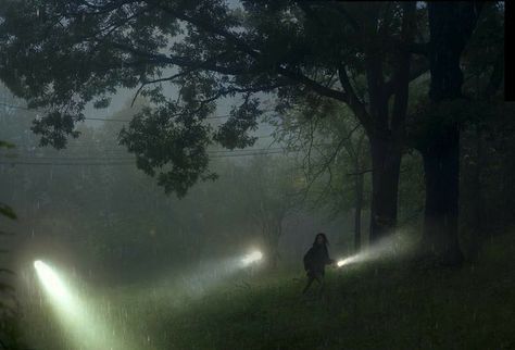 Two People, In The Rain, The Rain, In The Dark, Walking, Trees, Forest, Art