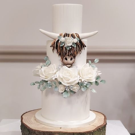 Highland Cow Wedding Cake Topper, Highland Cow Wedding Cake, Highland Cow Wedding, Cow Wedding Cake, Highland Cow Cake, Cow Wedding, Carlisle Cumbria, Cow Cakes, Hand Painted Cakes