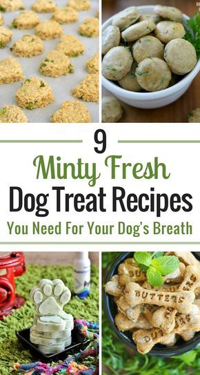 Homemade Dog Cookies, Homemade Pet Treats, Easy Dog Treat Recipes, Dog Biscuit Recipes, Easy Dog Treats, Healthy Dog Treats Homemade, Dog Breath, Dog Treats Homemade Recipes, Food Dog