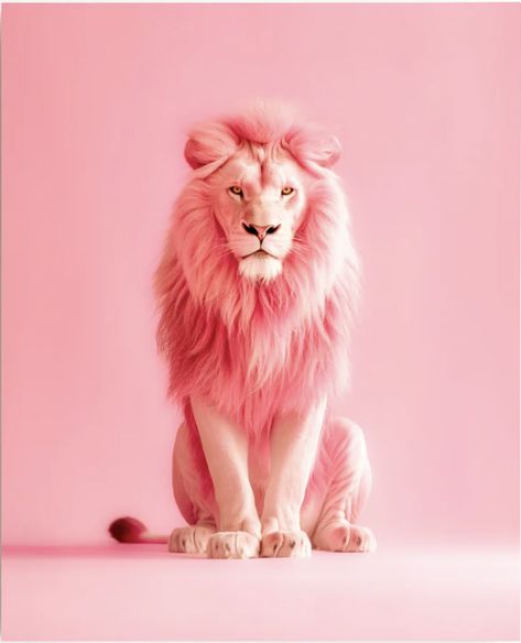 Lion Aesthetic, Facebook Cover Photos Inspirational, Pink Lion, Scrapbook Images, Pink Passion, Pink Vibes, Cool Wallpapers Art, Everything Pink, Color Of Life