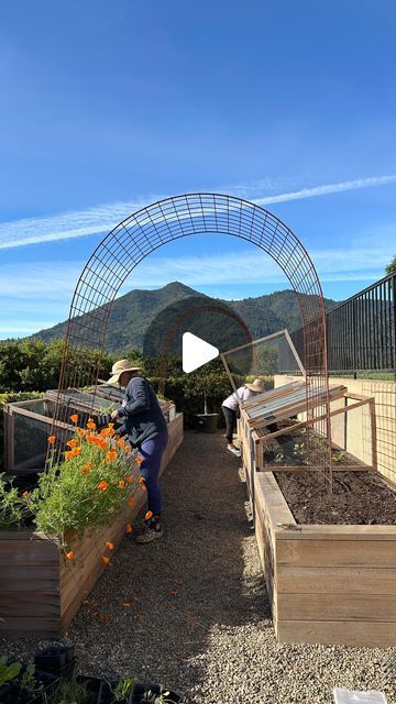 Enclosed Vegetable Garden, Enclosed Garden Structures, Garden Tricks, Enclosed Garden, Vegetable Garden Ideas, Backyard Farm, Vegetable Gardens, Backyard Farming, Garden Yard Ideas