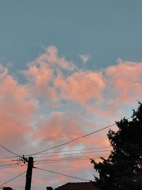 #clouds #pink #afternoon #aesthetic Afternoon Aesthetic, Today Aesthetic, Clouds Pink, Pink Clouds, Aesthetic Pink, Art Tips, Like Button, Plants, Pinterest Likes