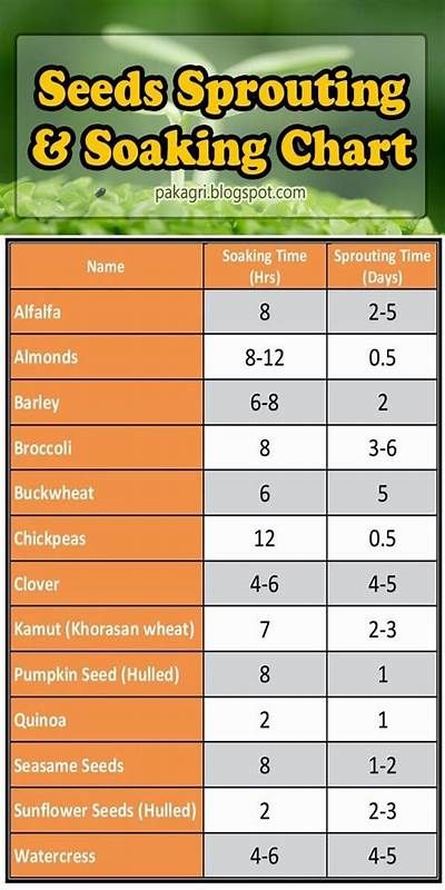 Sprouting chart | Sprout recipes, Growing sprouts, Microgreens Seed Sprouting, Microgreens Garden, Growing Sprouts, Micro Greens, Best Vegetables, Growing Microgreens, Sprouting Seeds, Sprout Recipes, Seed Saving