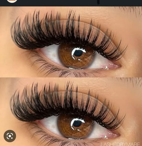 Lash Maps, Lash Map, Lash Trays, Natural Fake Eyelashes, Lashes Fake Eyelashes, Wispy Eyelashes, Wet Set, Eyelash Extensions Styles, Lash Extensions Styles