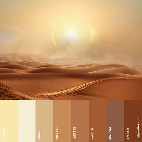 Sand Pallete Color, Desert Colors Palette, Sunshine Color Palette, Golden Color Palette, Wellness Collective, Desert Color Palette, Desert Mirage, Sunset Color Palette, Flat Color Palette