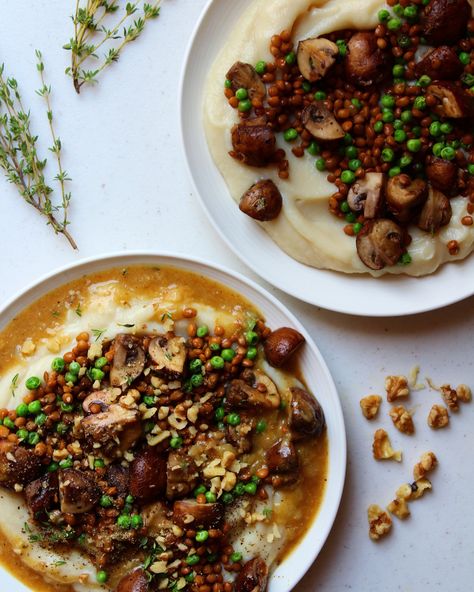 Parsley Root Puree with Mushrooms, Lentils and Gravy – Eat Well with Sar Parsley Root Recipes, Parsley Root, Root Recipes, Vegetarian Recepies, Canned Lentils, Vegan Gravy, Bonsai Techniques, Cauliflower Puree, Autumn Food