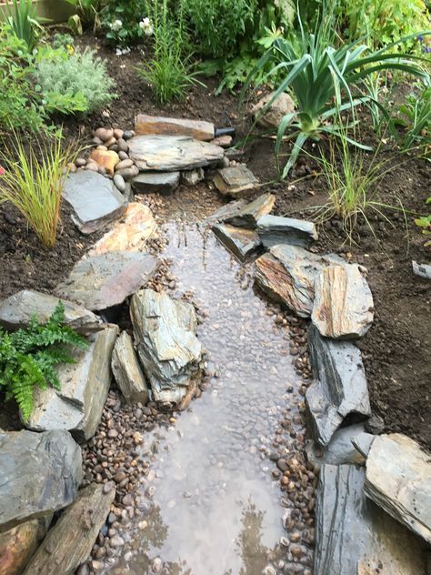 Dry Creek Bed, Wooded Landscaping, Creek Bed, Dry Creek, Petrified Wood, Outdoor Ideas, Yard Landscaping, Stepping Stones, Landscaping