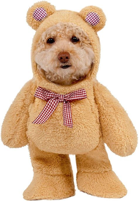 20 Adorable Dog Halloween Costumes - House Fur Best Dog Halloween Costumes, Dog Lion Mane, Teddy Bear Costume, Every Dog Breed, Teddy Bear Dog, Bear Costume, Pet Halloween Costumes, Bear Dog, Soft Teddy Bear