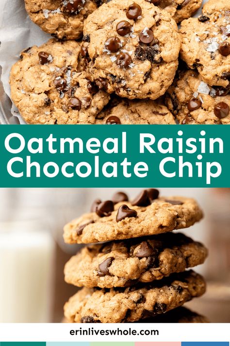 Give your taste buds a treat with these deliciously crispy yet chewy Oatmeal Raisin Chocolate Chip Cookies. Made with brown and white sugar, rolled oats, and cinnamon, the texture and flavor combo is unmatched! Raisin Chocolate Chip Cookies, Oatmeal Raisin Chocolate Chip Cookies, Walnut Cookies, Choc Chip Cookies, Roll Cookies, Oatmeal Raisin Cookies, Oatmeal Raisin, Chocolate Chip Oatmeal, Rice Crispy